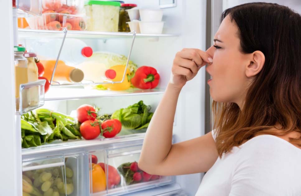 Как быстро избавиться от запаха в холодильнике народными и чистящими средствами